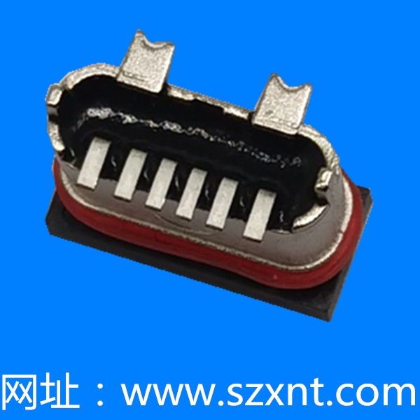 廈門TYPE C 6P 立式 鋅合金外殼