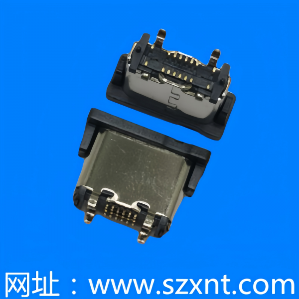 廈門TYPE C 16P 立式