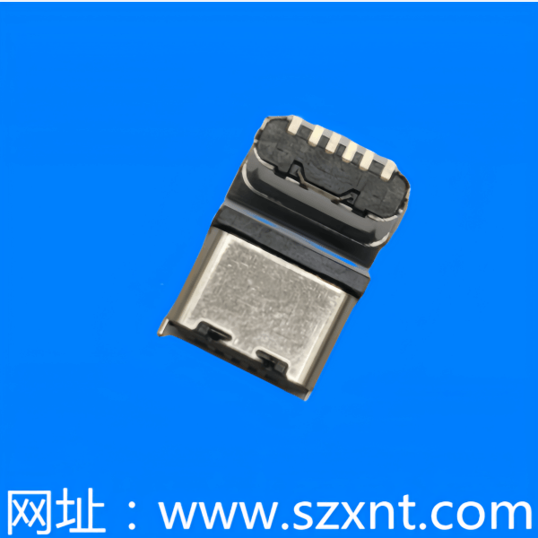 廈門TYPE C 6P 立式貼片